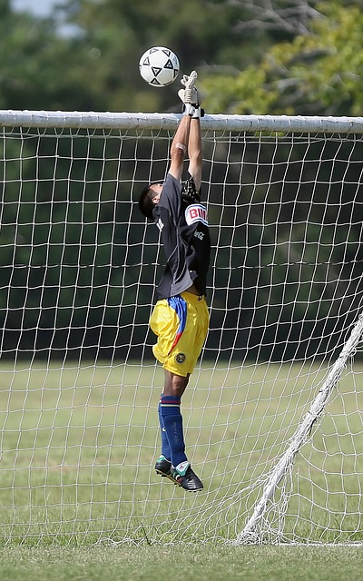 开拓全新的 开拓全新的