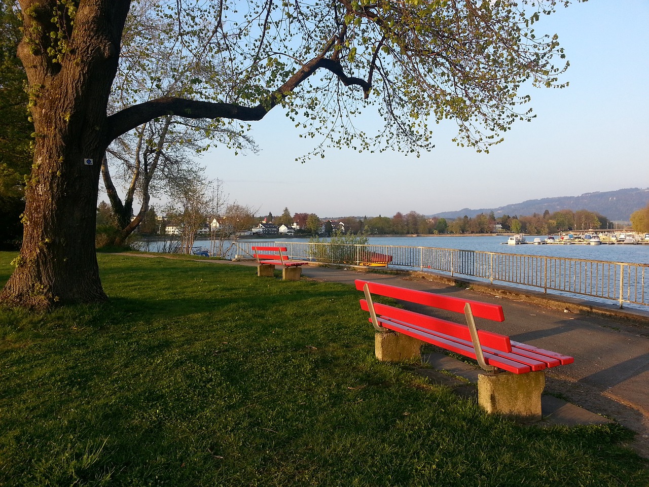 仅让球迷津 仅让球迷津